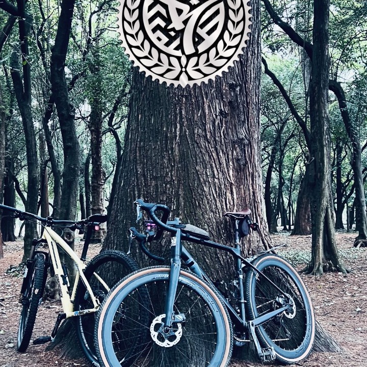 Custom Bikes